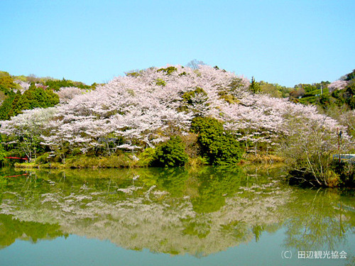 動鳴気峡