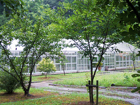 ふれあい農園の温室ビニールハウス