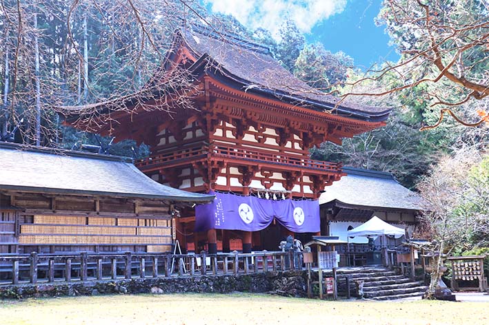 <p><strong>楼門</strong></p>
<p>室町時代に建立された入母屋造りで、檜皮葺き(ひわだぶき)の屋根が特徴的です。重要文化財にも指定されています。<strong>ここでお願い事をするときは、小さい願いではなくとっても大それたお願い事をするのがポイント</strong>です。</p>
