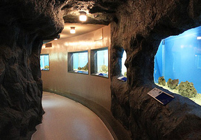 <p>海洋水族館</p>
