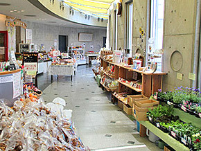 ふるさと物産店では、地元農産物を使った手づくり食品やお土産を購入できます