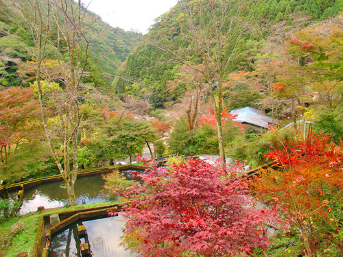 玉川峡