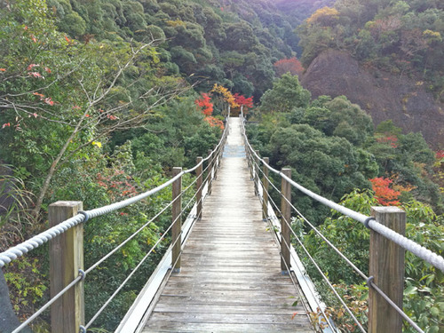 大滝川森林公園