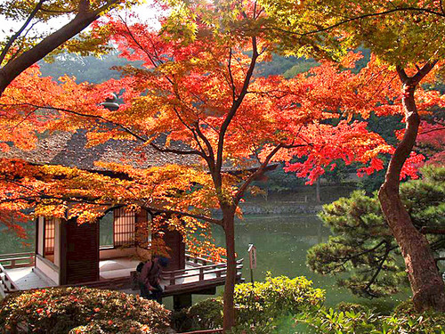 紅葉渓庭園