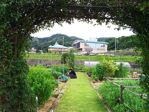 西庄ふれあいの郷ハーブ園