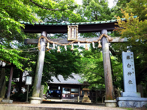<p>正面鳥居</p>
