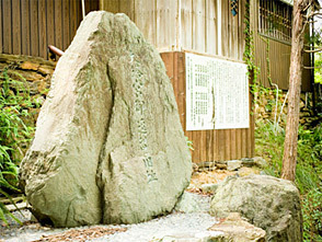 <p>神社の裏には「春日万葉の森」があり、昔より鎮守の森として護り続けられてきた貴重な虫類や植物が生い茂っています</p>
