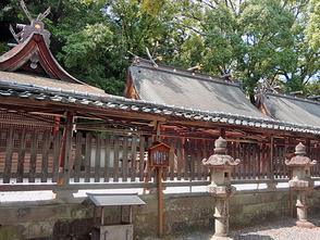 <p>鳥居をくぐると御神木で樹齢1200年と言われる楠の木が出迎えてくれます</p>
