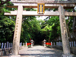 <p>参道入り口前の鳥居</p>
