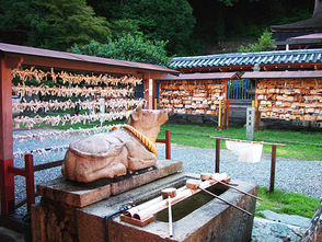 <p>手水所</p>
