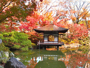 <p>木造銅板葺きの屋根が印象的な紅松庵</p>
