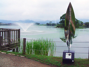 <p>和歌山県朝日夕陽百選</p>
