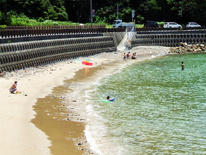 <p>遠浅の海</p>
