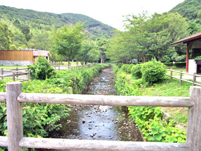 <p>初夏にはホタルも見られる小川</p>
