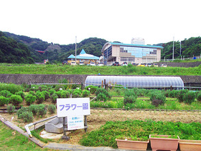 <p>園内全体</p>
