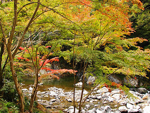 <p>紅葉が水面に写り、自然豊かな素晴らしい景観</p>
