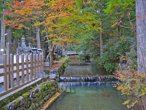 <p>紅葉と川の流れが日本の素晴らしさを物語っています。</p>
