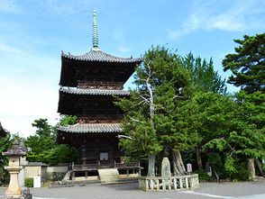 <p>三重の塔</p>

