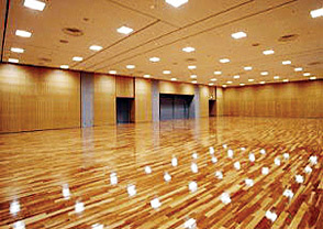 <p>軽運動場</p>
