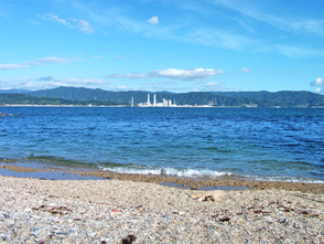 <p>和歌浦からマリーナ方面を望む海</p>
