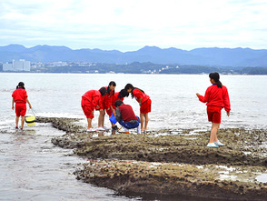 <p>平らな岩礁で海洋生物の観察には最適です</p>
