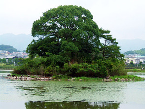 <p>２号墳（円墳）</p>
