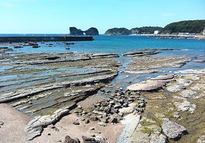 <p>白浜の海岸から</p>
