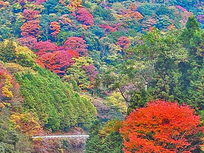 <p>秋の紅葉に色づいてきた山々</p>

