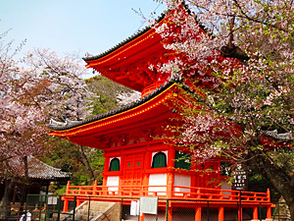 <p>多宝塔</p>
