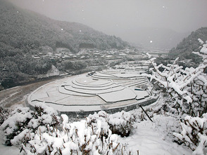 <p>雪化粧した冬のあらぎ島</p>
