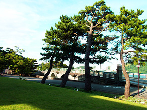<p>すぐ側に不老橋が架かる</p>
