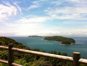 <p>展望広場からの眺め</p>
