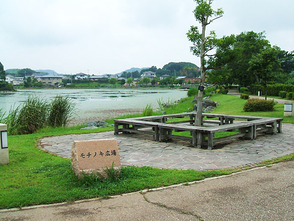 <p>モチノキ広場</p>
