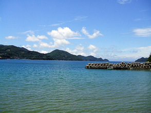 <p>海の生き物観察もできます</p>
