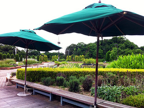 <p>木の広場</p>
