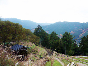 <p>高原霧の里から見える水車小屋</p>
