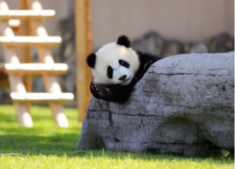 教育旅行