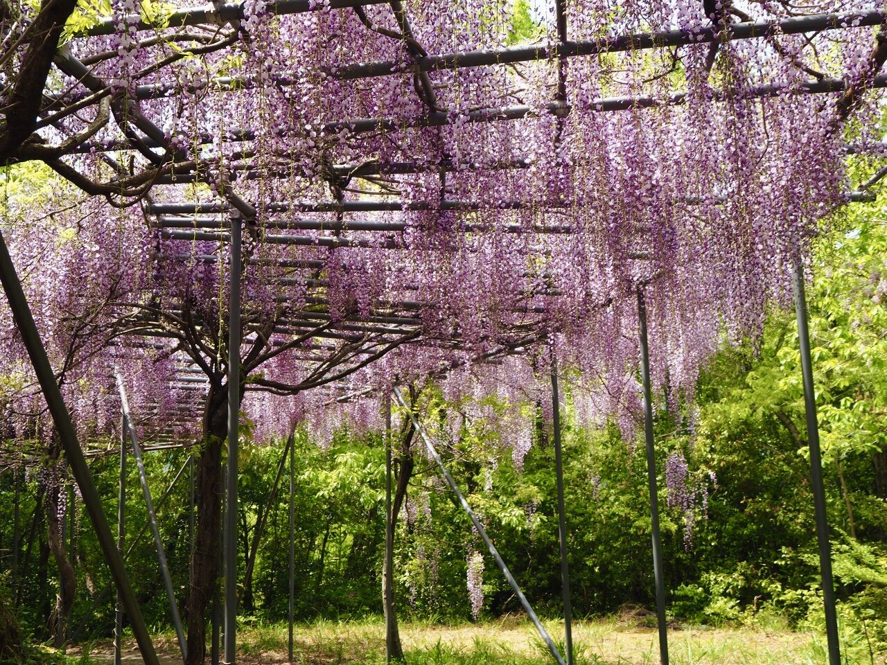みやまの里森林公園
