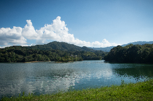 <p>亀池公園（夏の景色）</p>
