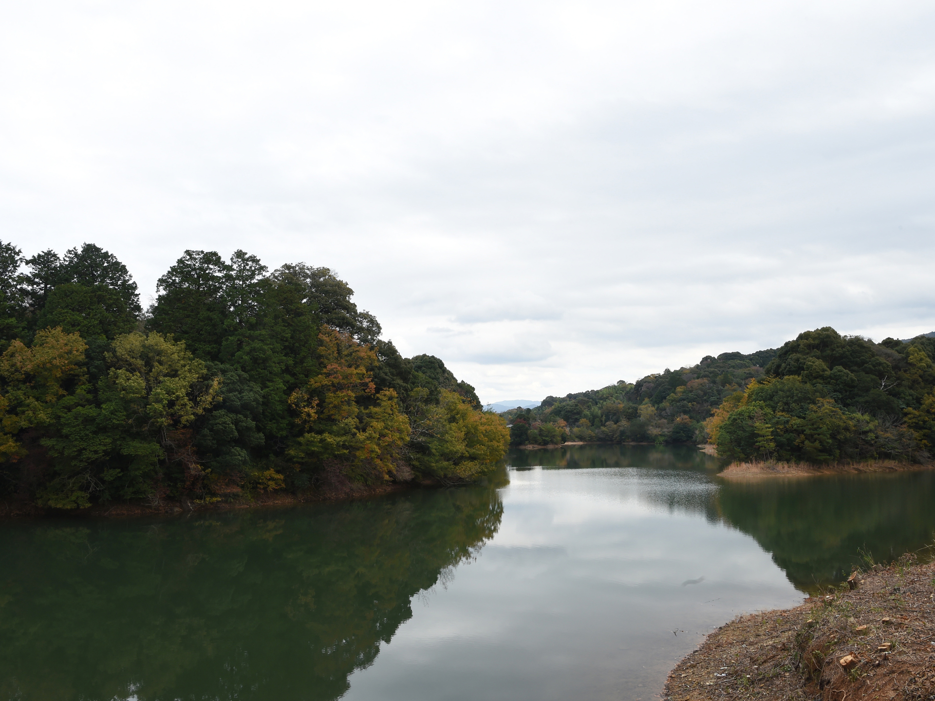 <p>亀池公園（秋の景色）</p>
