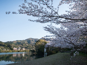 亀池公園