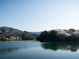 <p>亀池公園（春の景色）</p>
