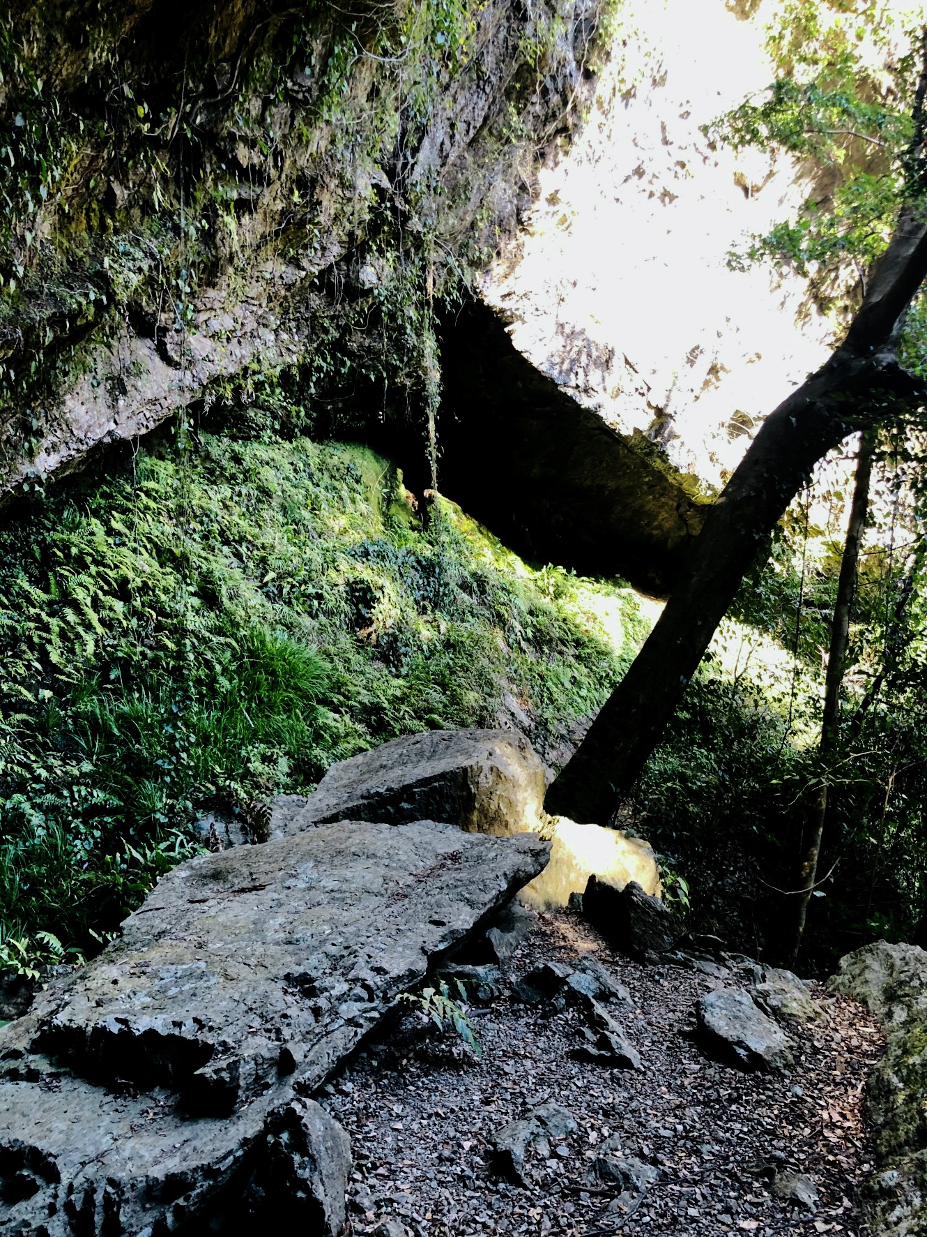 <p>滝の裏の空洞から見える風景</p>
<p> </p>
