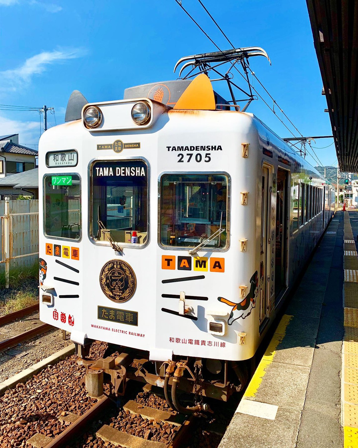 <p>たま電車の外観です。<br />
猫耳やおひげなど細部にもこだわりがあって、とても可愛らしいです。<br />
「ネコ」＆「エコロジカル」な電車をモットーにしていて、素材・色・形に至るまでたまを豊かにイマジネーションした「ネコロジカル」なデザインです。</p>
