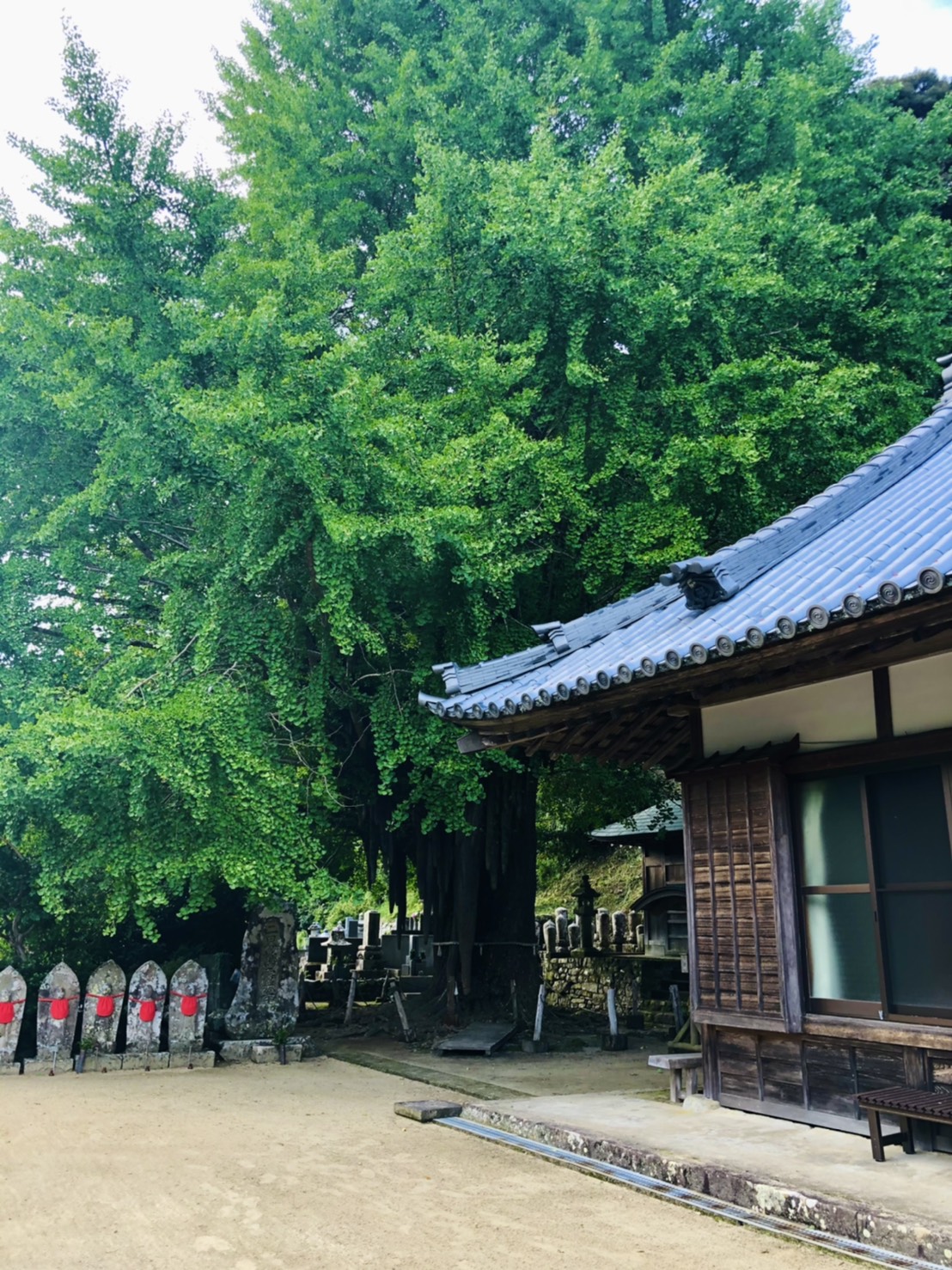 光泉寺