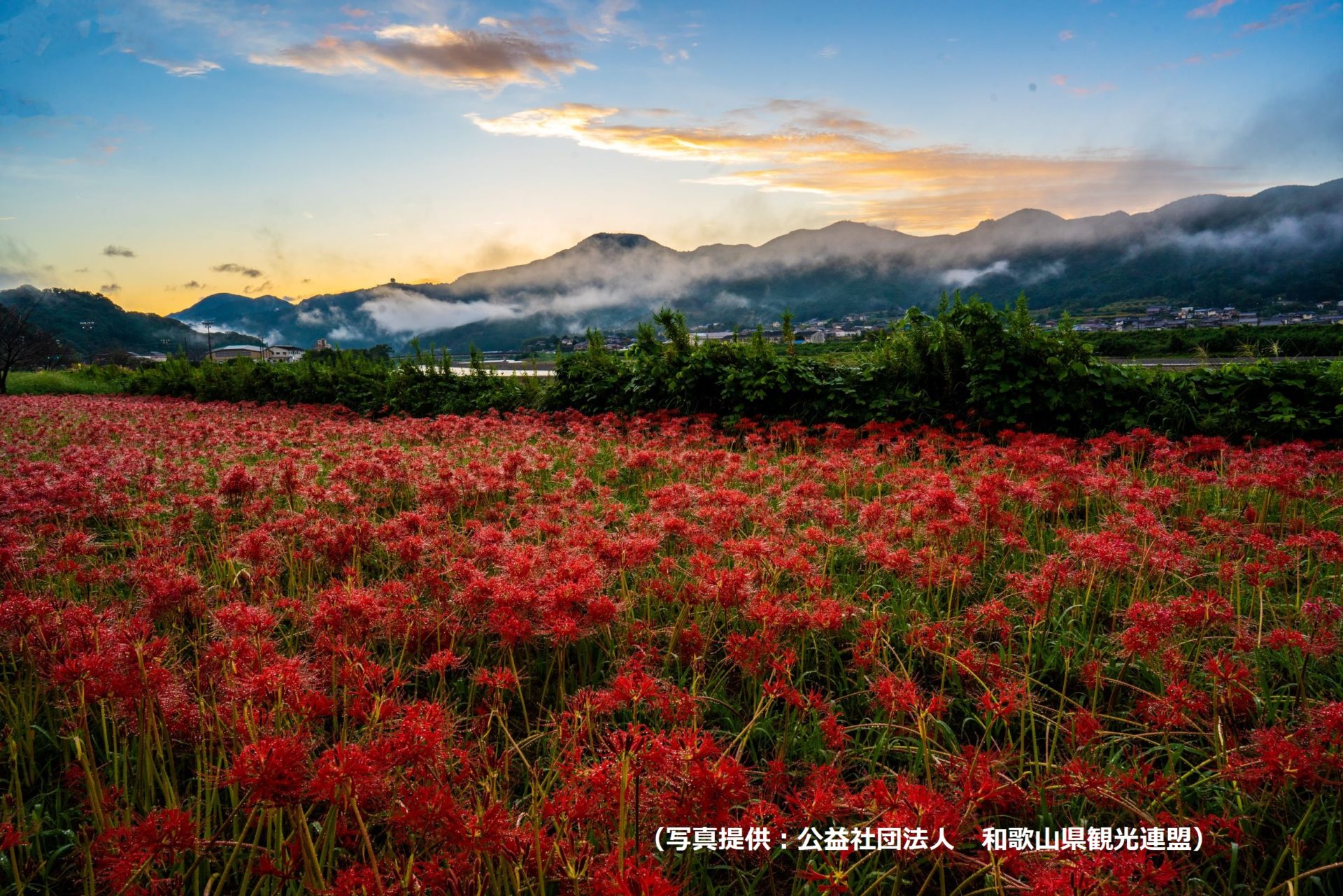富田川の水垢離場とヒガンバナ